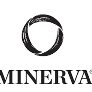 20220518 成為一塊往Minerva的踏腳磚